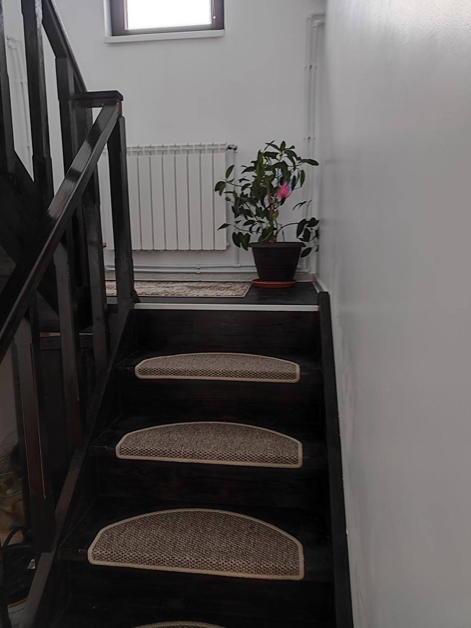 Vila Raisa Neagra Sarului 外观 照片